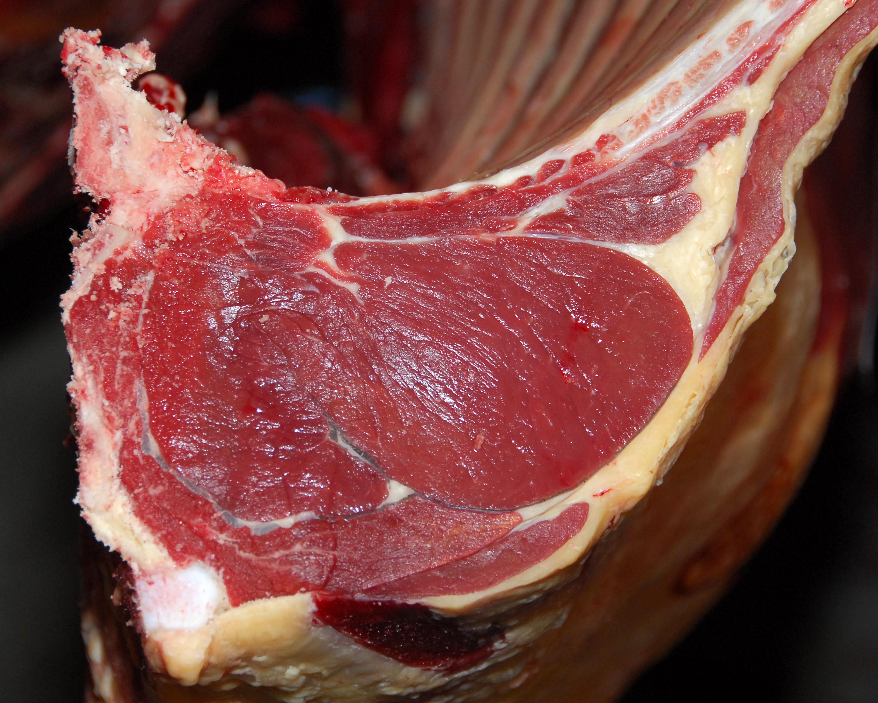 Cut of meat showing fat colour. 